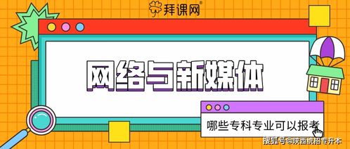 2020陜西專升本網(wǎng)絡(luò)與新媒體可報(bào)考專業(yè)及備考全攻略